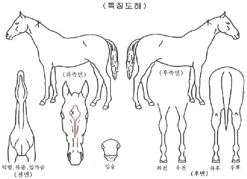 �����ô��� ����,���,�޸�,�λ�,�ٸ��� Ư¡����