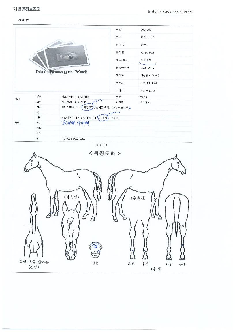 ¿îÁÖÇÁ¸°½ºÀÇ Ãø¸é,¿ì¸é,µÞ¸é,µÎ»ó,´Ù¸®ÀÇ Æ¯Â¡µµÇØ