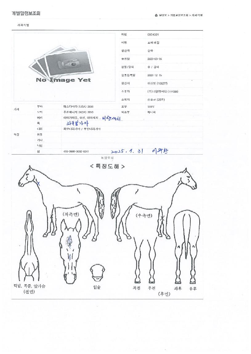Æ÷¿¡¹ö±æÀÇ Ãø¸é,¿ì¸é,µÞ¸é,µÎ»ó,´Ù¸®ÀÇ Æ¯Â¡µµÇØ
