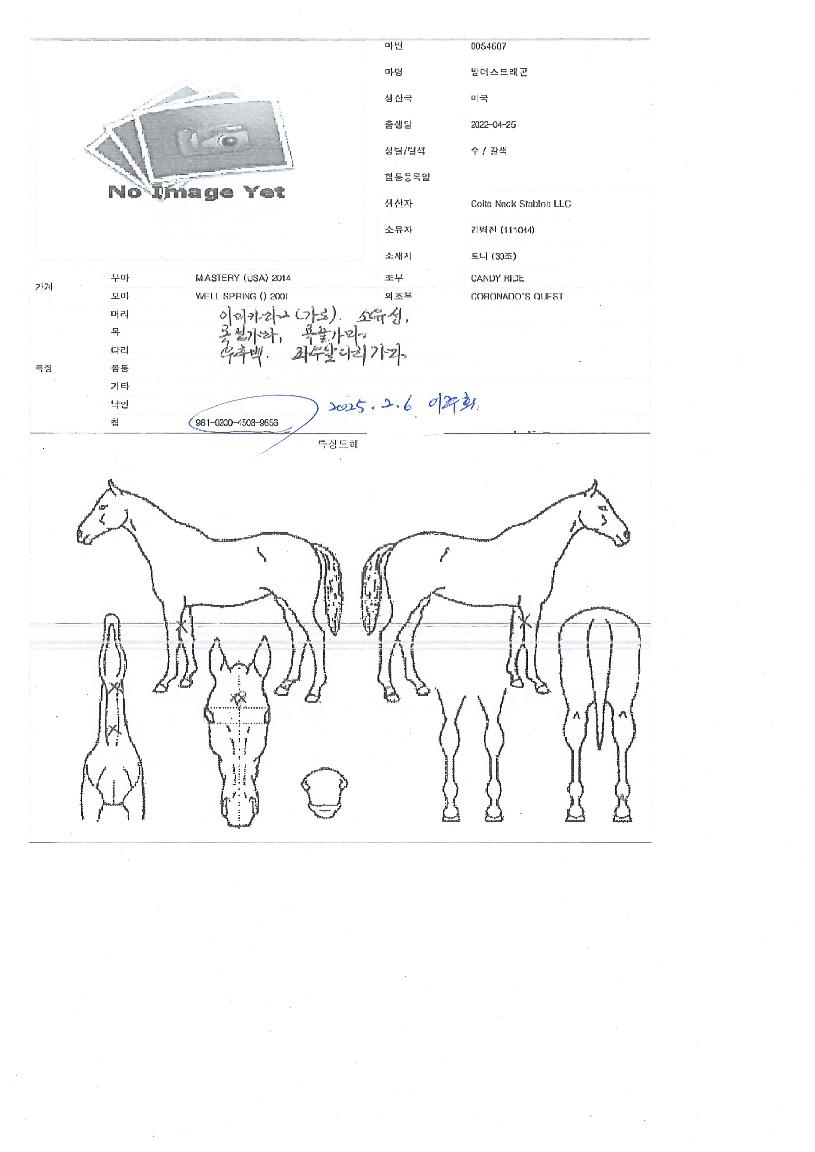 ¹ß´õ½ºµå·¡°ïÀÇ Ãø¸é,¿ì¸é,µÞ¸é,µÎ»ó,´Ù¸®ÀÇ Æ¯Â¡µµÇØ