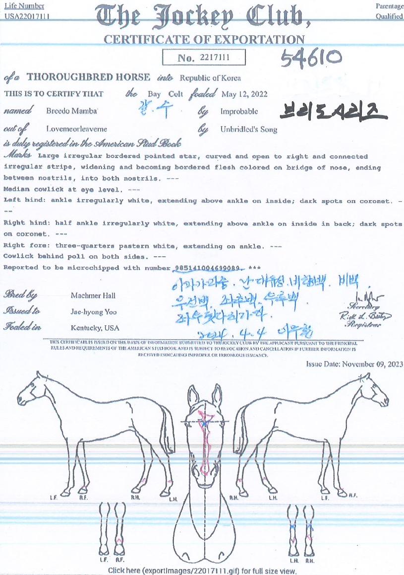 ºê¸®µµ½Ã¸®½ºÀÇ Ãø¸é,¿ì¸é,µÞ¸é,µÎ»ó,´Ù¸®ÀÇ Æ¯Â¡µµÇØ