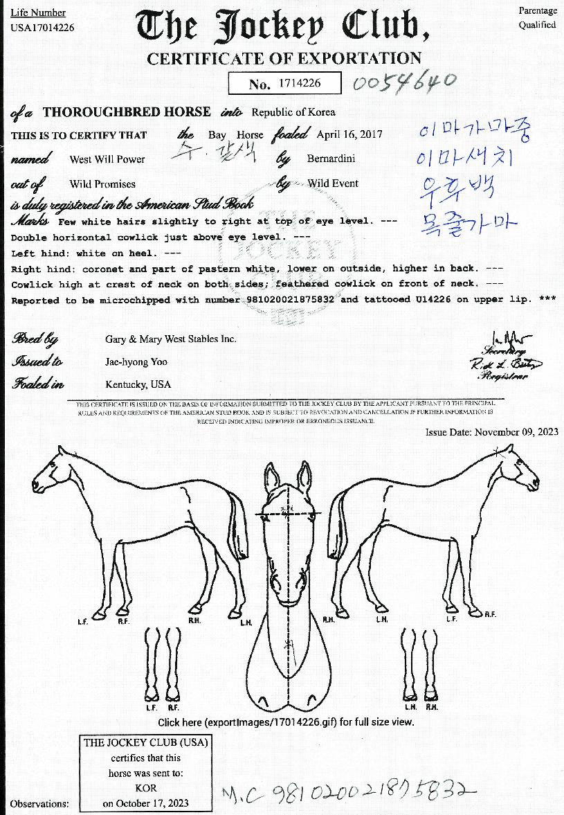 ¿þ½ºÆ®ÀªÆÄ¿öÀÇ Ãø¸é,¿ì¸é,µÞ¸é,µÎ»ó,´Ù¸®ÀÇ Æ¯Â¡µµÇØ