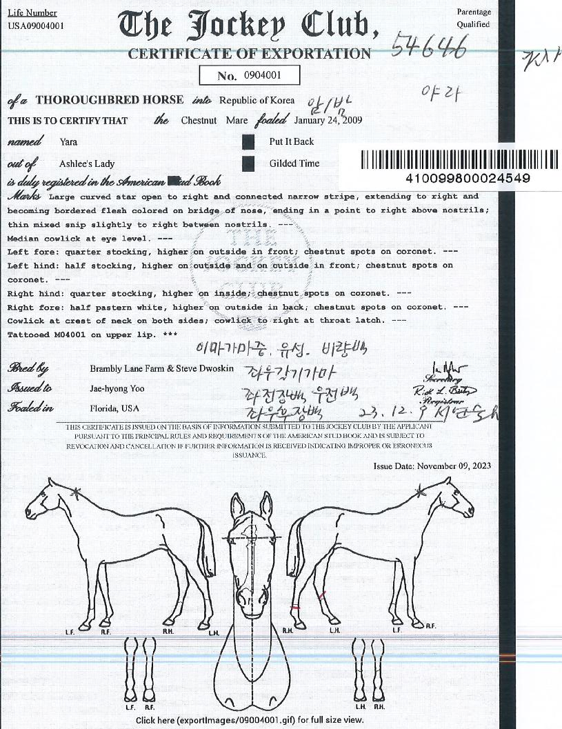 ¾ß¶óÀÇ Ãø¸é,¿ì¸é,µÞ¸é,µÎ»ó,´Ù¸®ÀÇ Æ¯Â¡µµÇØ