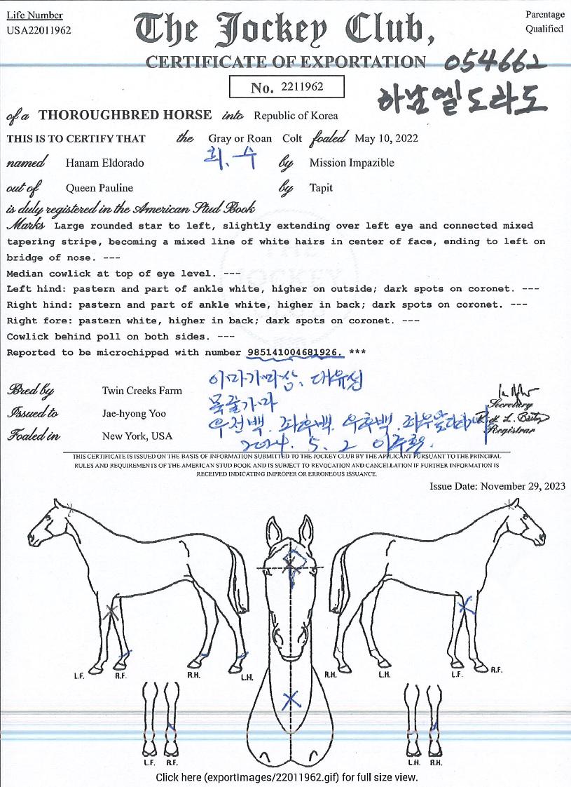 �ϳ��������� ����,���,�޸�,�λ�,�ٸ��� Ư¡����