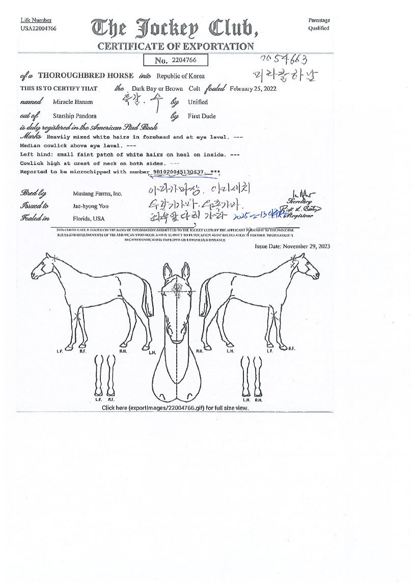 ¹Ì¶óŬÇϳ²ÀÇ Ãø¸é,¿ì¸é,µÞ¸é,µÎ»ó,´Ù¸®ÀÇ Æ¯Â¡µµÇØ