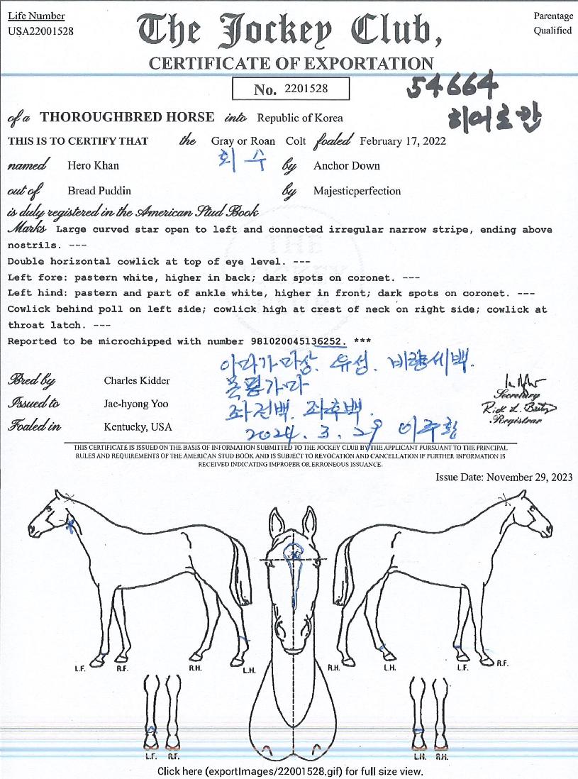 È÷¾î·ÎÄÀÇ Ãø¸é,¿ì¸é,µÞ¸é,µÎ»ó,´Ù¸®ÀÇ Æ¯Â¡µµÇØ