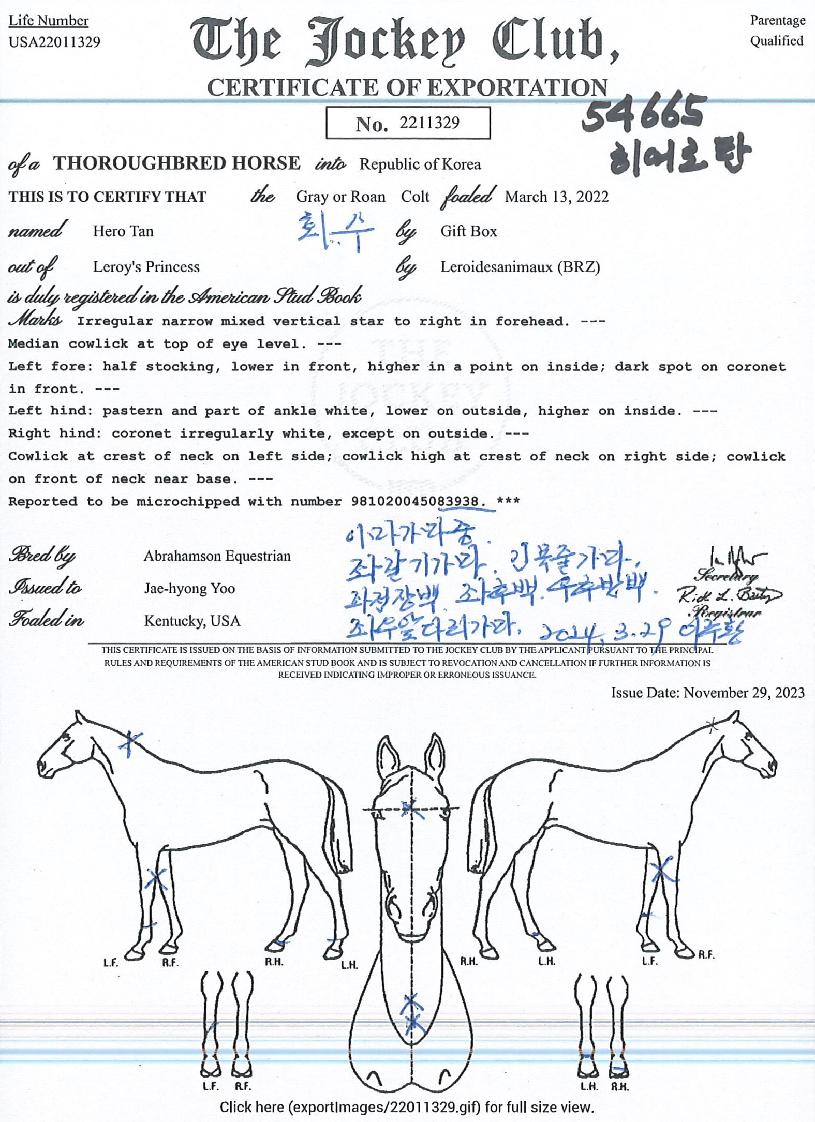 È÷¾î·ÎźÀÇ Ãø¸é,¿ì¸é,µÞ¸é,µÎ»ó,´Ù¸®ÀÇ Æ¯Â¡µµÇØ