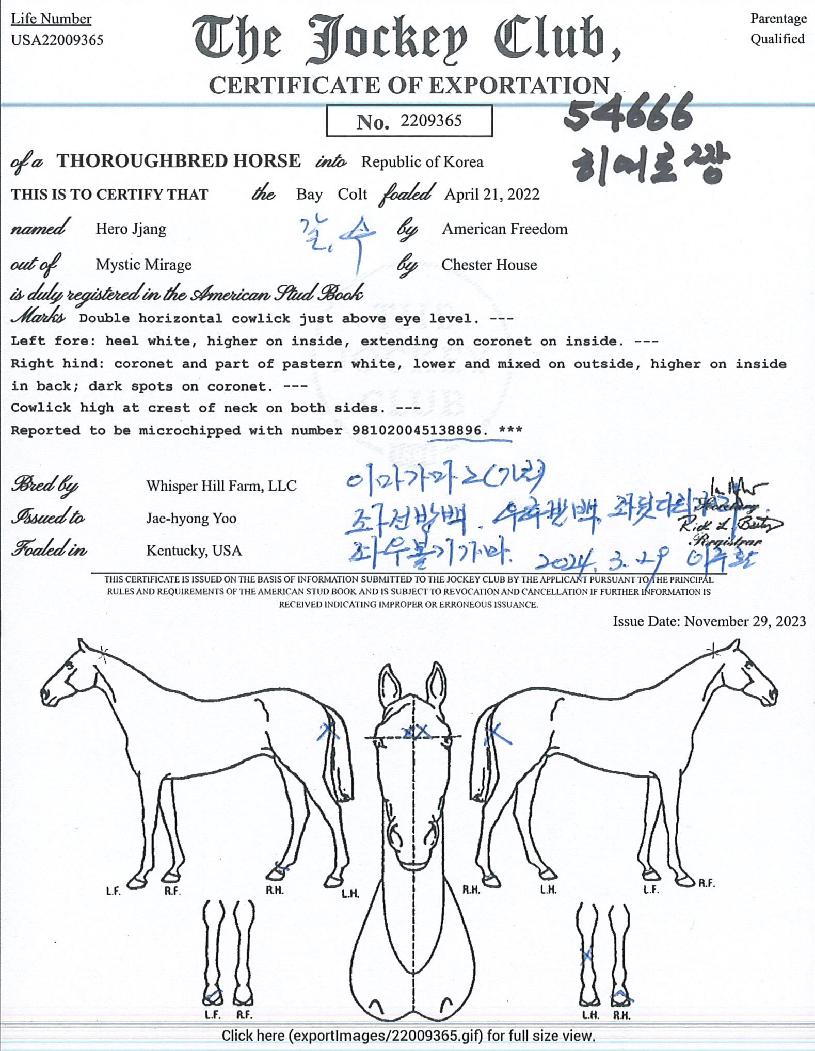 �����¯�� ����,���,�޸�,�λ�,�ٸ��� Ư¡����