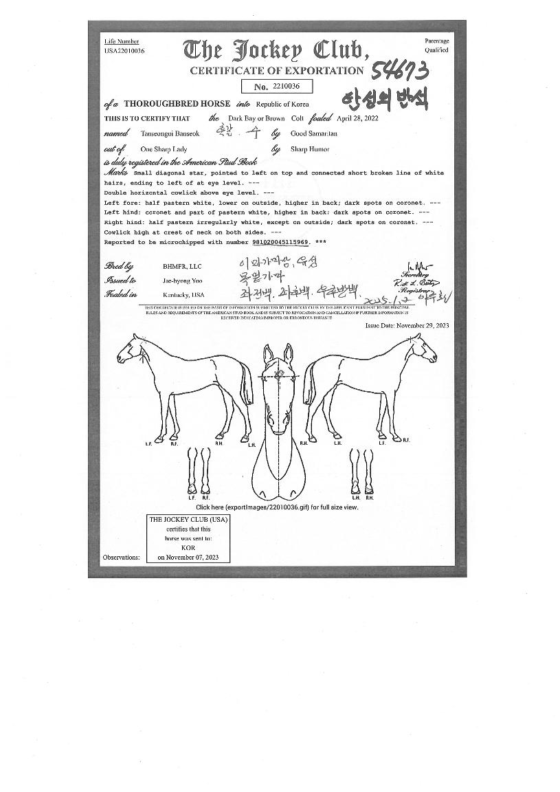 ź¼ºÀǹݼ®ÀÇ Ãø¸é,¿ì¸é,µÞ¸é,µÎ»ó,´Ù¸®ÀÇ Æ¯Â¡µµÇØ