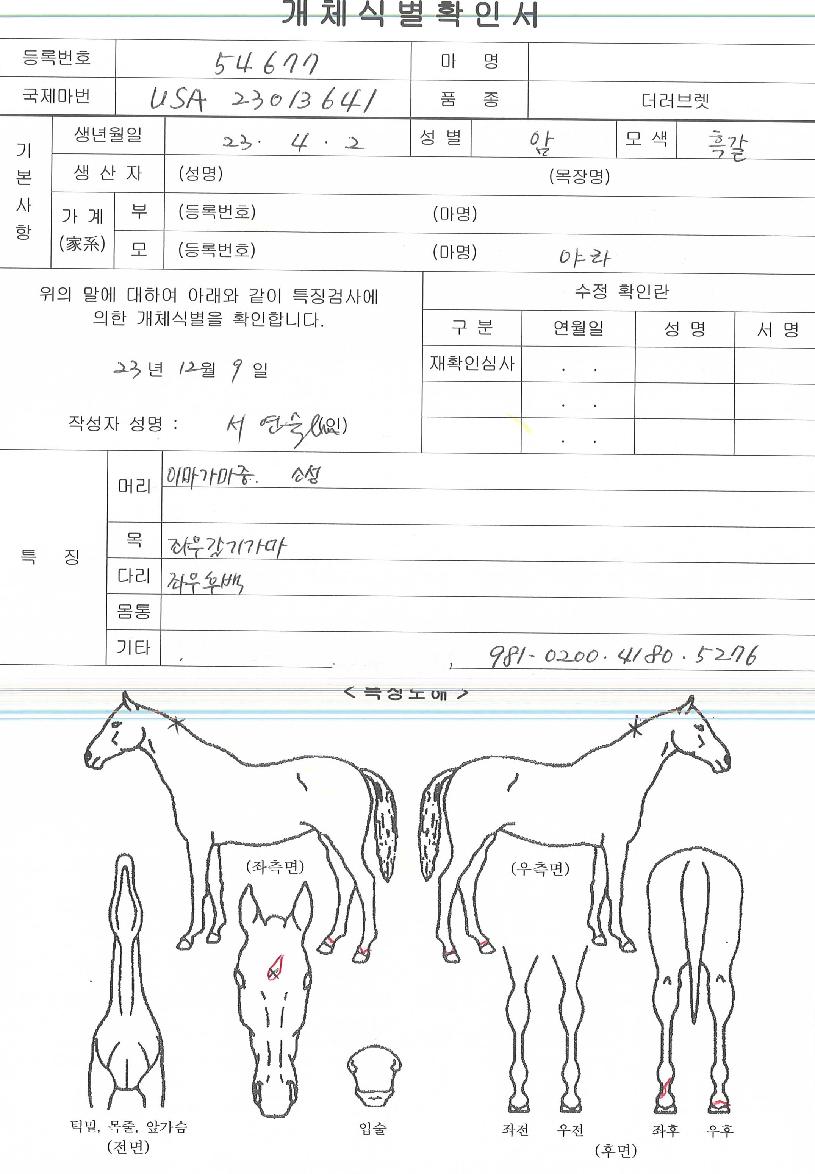 ĵ´Ù¶óÀÇ Ãø¸é,¿ì¸é,µÞ¸é,µÎ»ó,´Ù¸®ÀÇ Æ¯Â¡µµÇØ