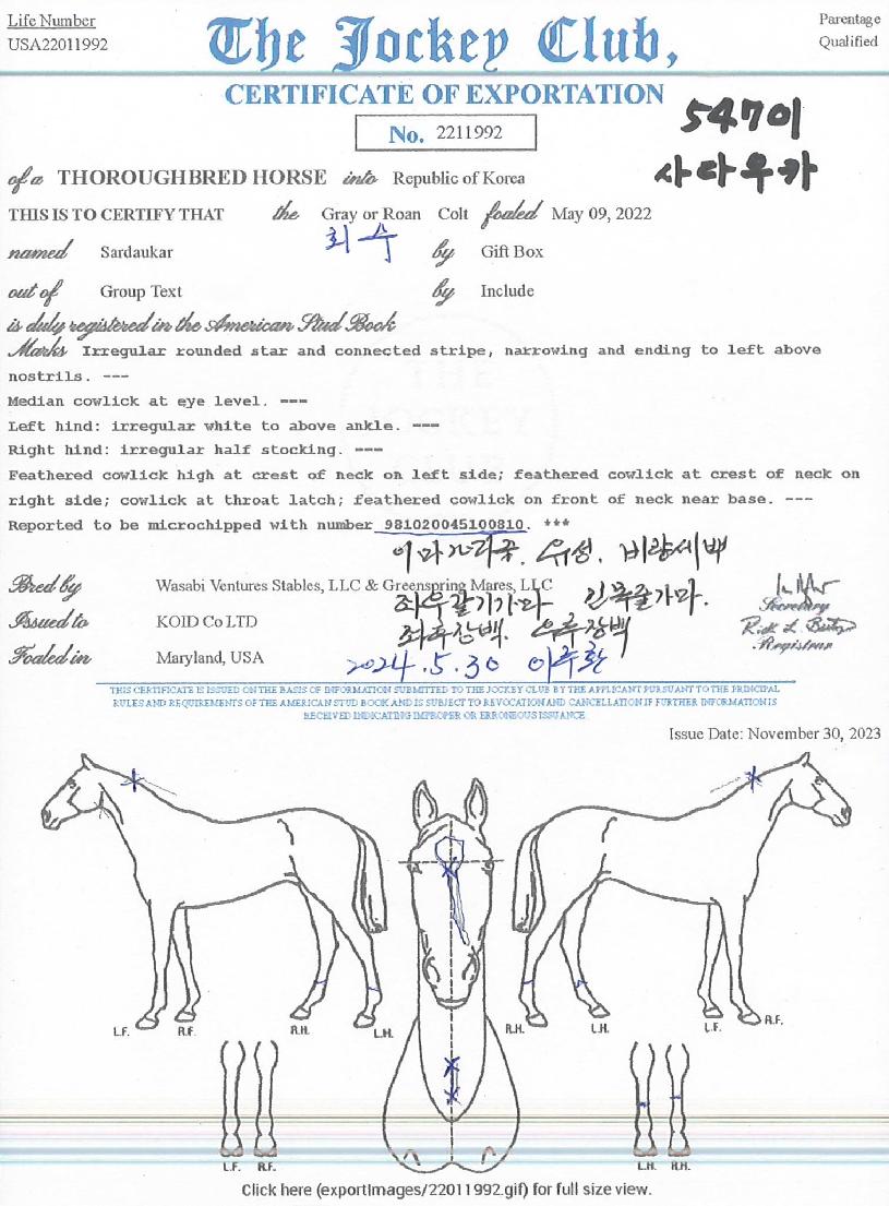 »ç´Ù¿ìÄ«ÀÇ Ãø¸é,¿ì¸é,µÞ¸é,µÎ»ó,´Ù¸®ÀÇ Æ¯Â¡µµÇØ