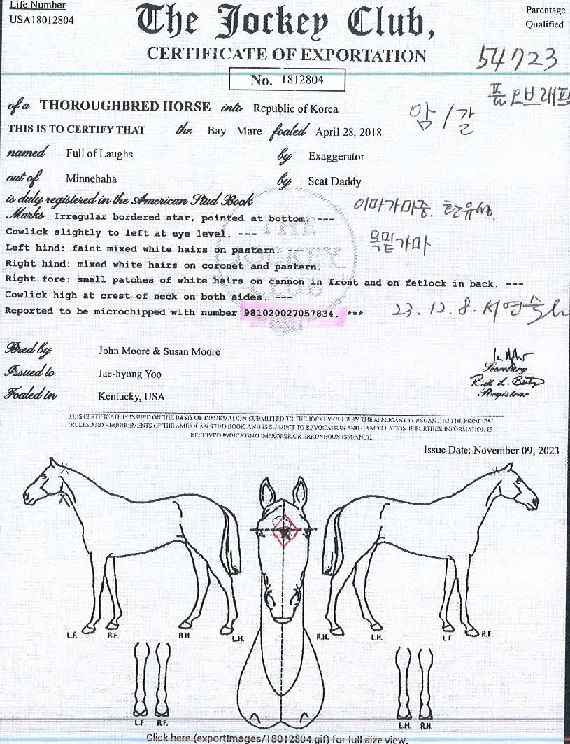 Ǯ���귡������ ����,���,�޸�,�λ�,�ٸ��� Ư¡����