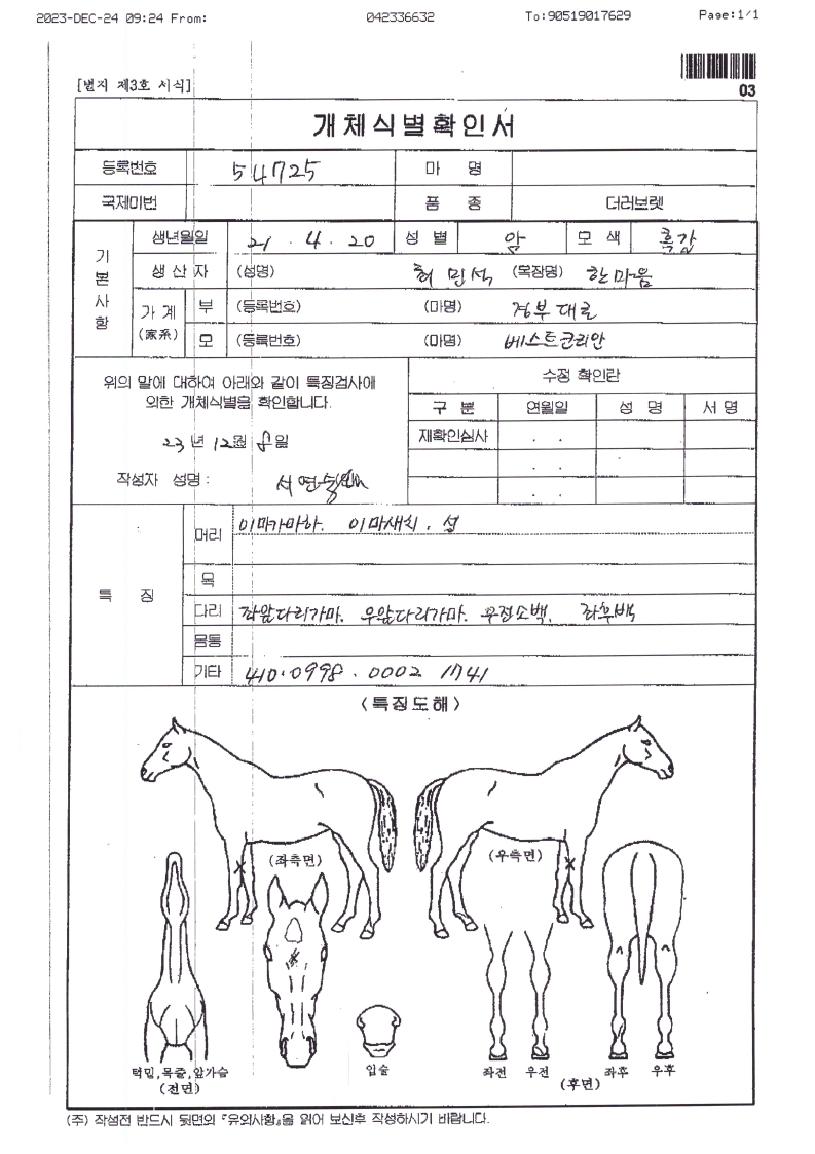 �ε������� ����,���,�޸�,�λ�,�ٸ��� Ư¡����