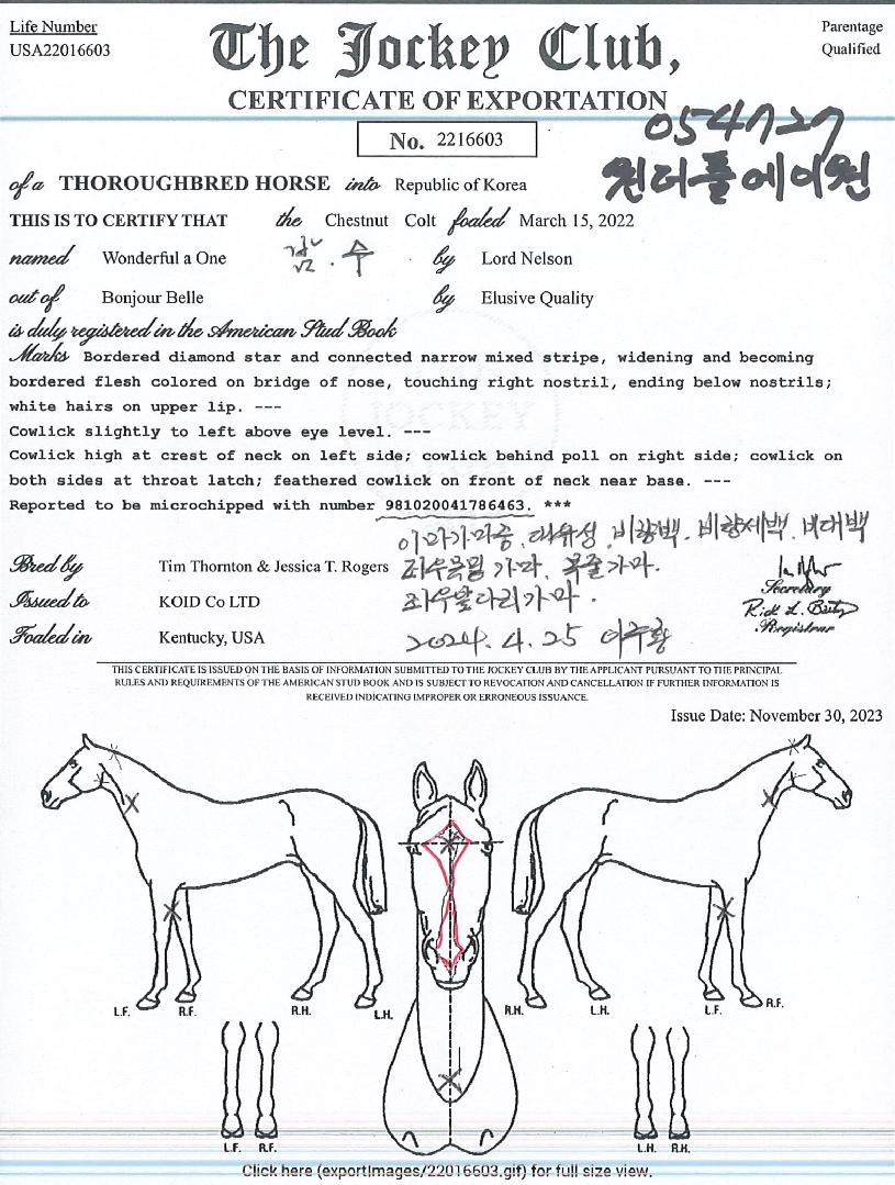 ����Ǯ���̿��� ����,���,�޸�,�λ�,�ٸ��� Ư¡����