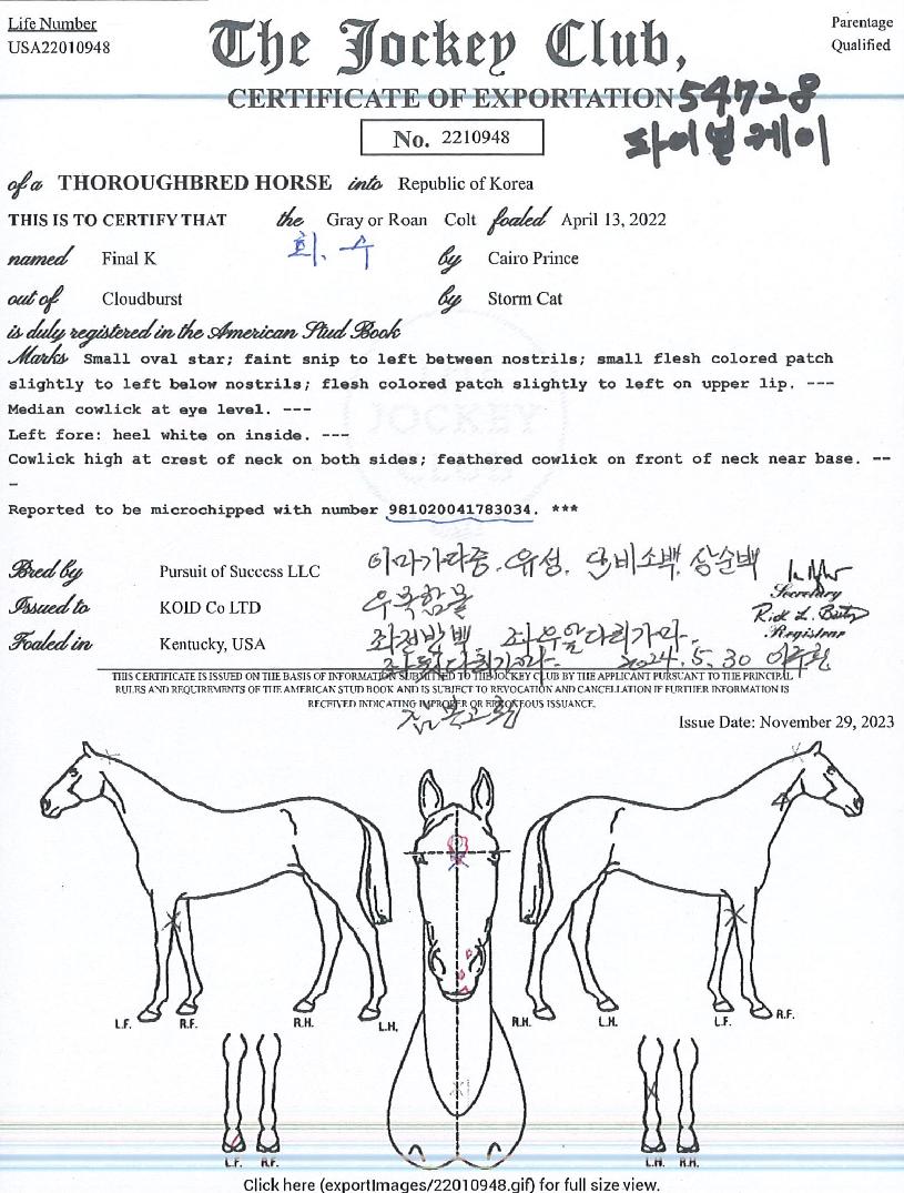 ÆÄÀ̳ÎÄÉÀÌÀÇ Ãø¸é,¿ì¸é,µÞ¸é,µÎ»ó,´Ù¸®ÀÇ Æ¯Â¡µµÇØ