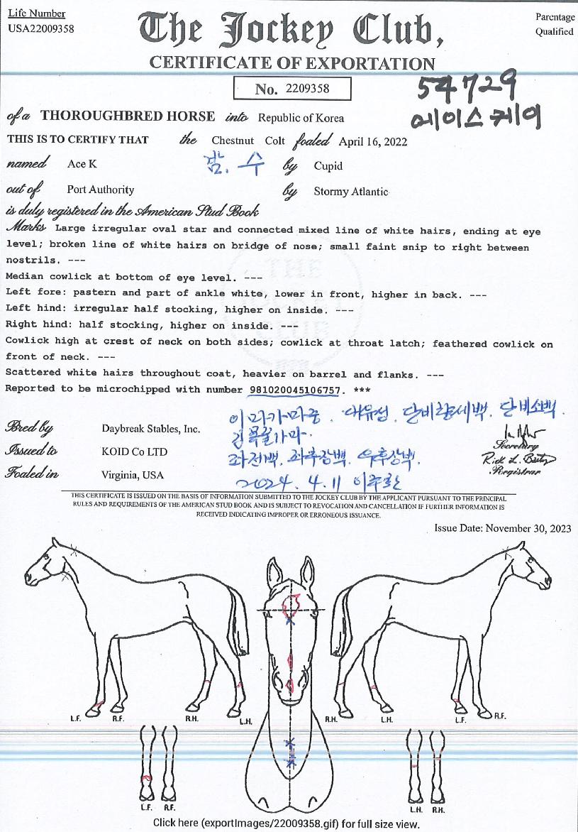 ���̽������� ����,���,�޸�,�λ�,�ٸ��� Ư¡����