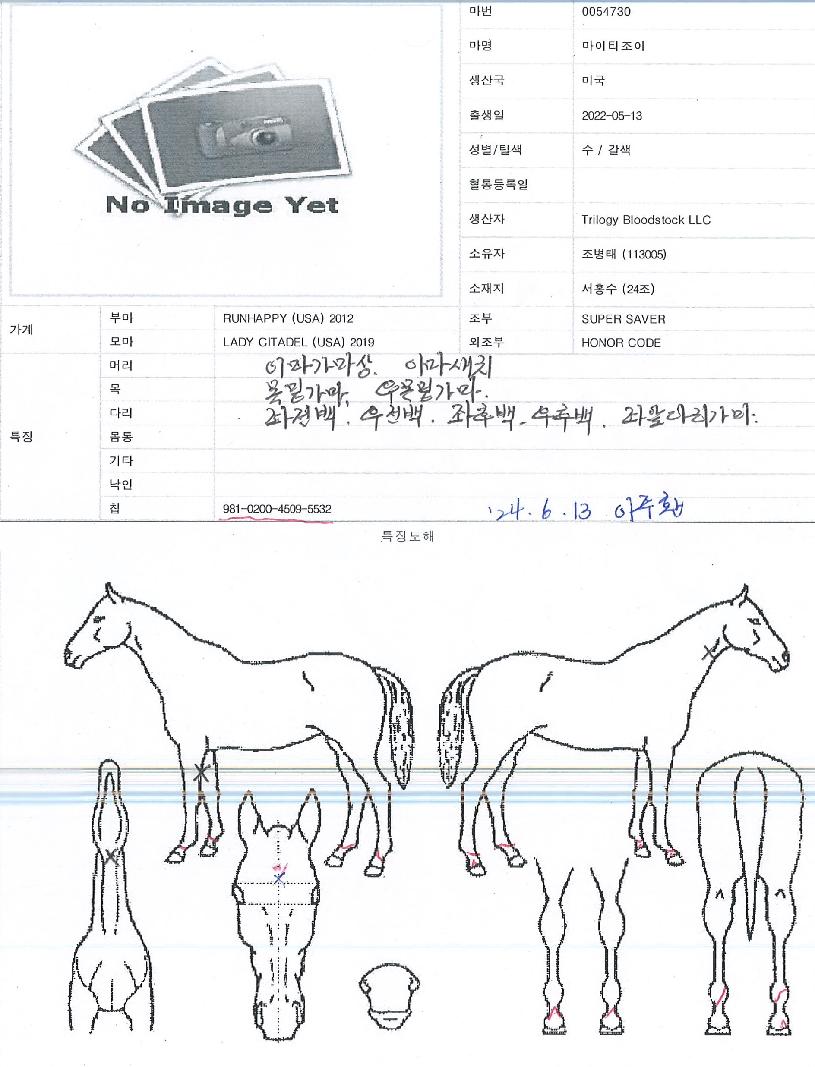 ����Ƽ������ ����,���,�޸�,�λ�,�ٸ��� Ư¡����