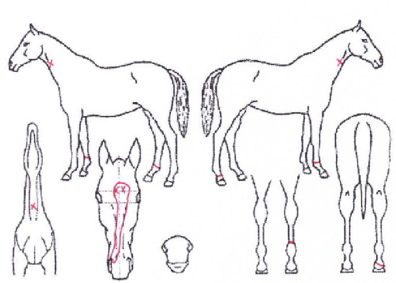 ���²��� ����,���,�޸�,�λ�,�ٸ��� Ư¡����