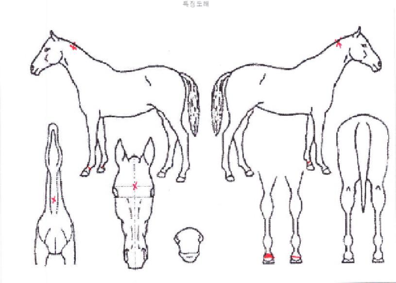 �����Ѳ��� ����,���,�޸�,�λ�,�ٸ��� Ư¡����