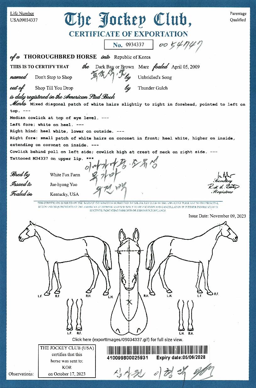 ��Ʈ���������� ����,���,�޸�,�λ�,�ٸ��� Ư¡����