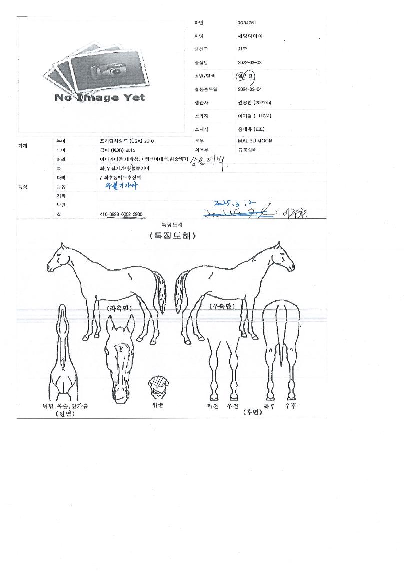 �������̾��� ����,���,�޸�,�λ�,�ٸ��� Ư¡����