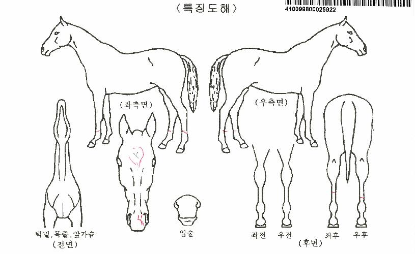 ��ǰ�÷����� ����,���,�޸�,�λ�,�ٸ��� Ư¡����