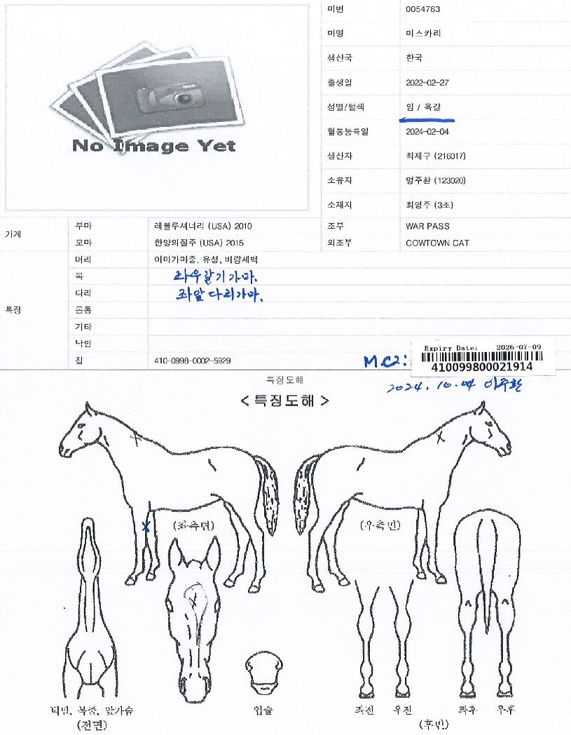 �̽�ī���� ����,���,�޸�,�λ�,�ٸ��� Ư¡����