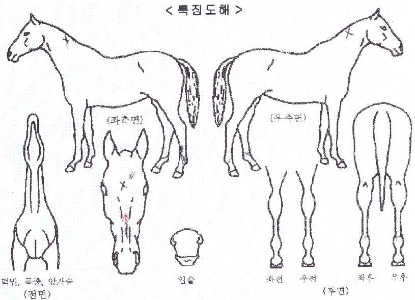 ���̽������� ����,���,�޸�,�λ�,�ٸ��� Ư¡����