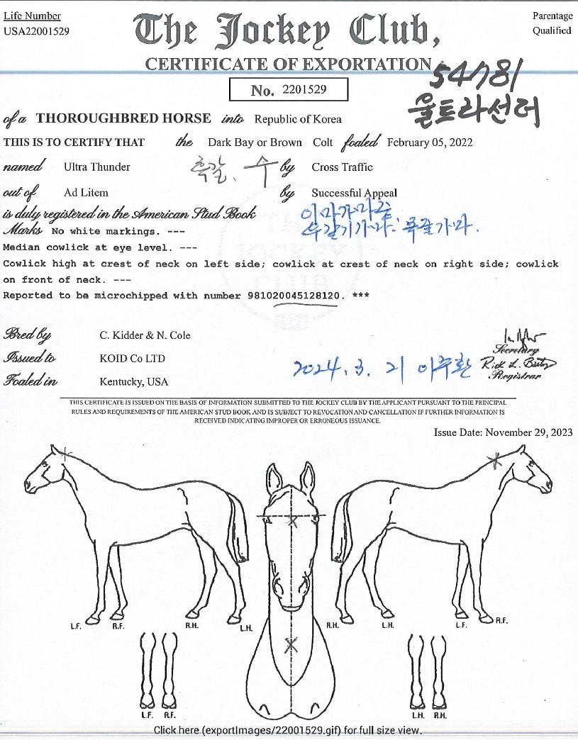 ¿ïÆ®¶ó¼±´õÀÇ Ãø¸é,¿ì¸é,µÞ¸é,µÎ»ó,´Ù¸®ÀÇ Æ¯Â¡µµÇØ