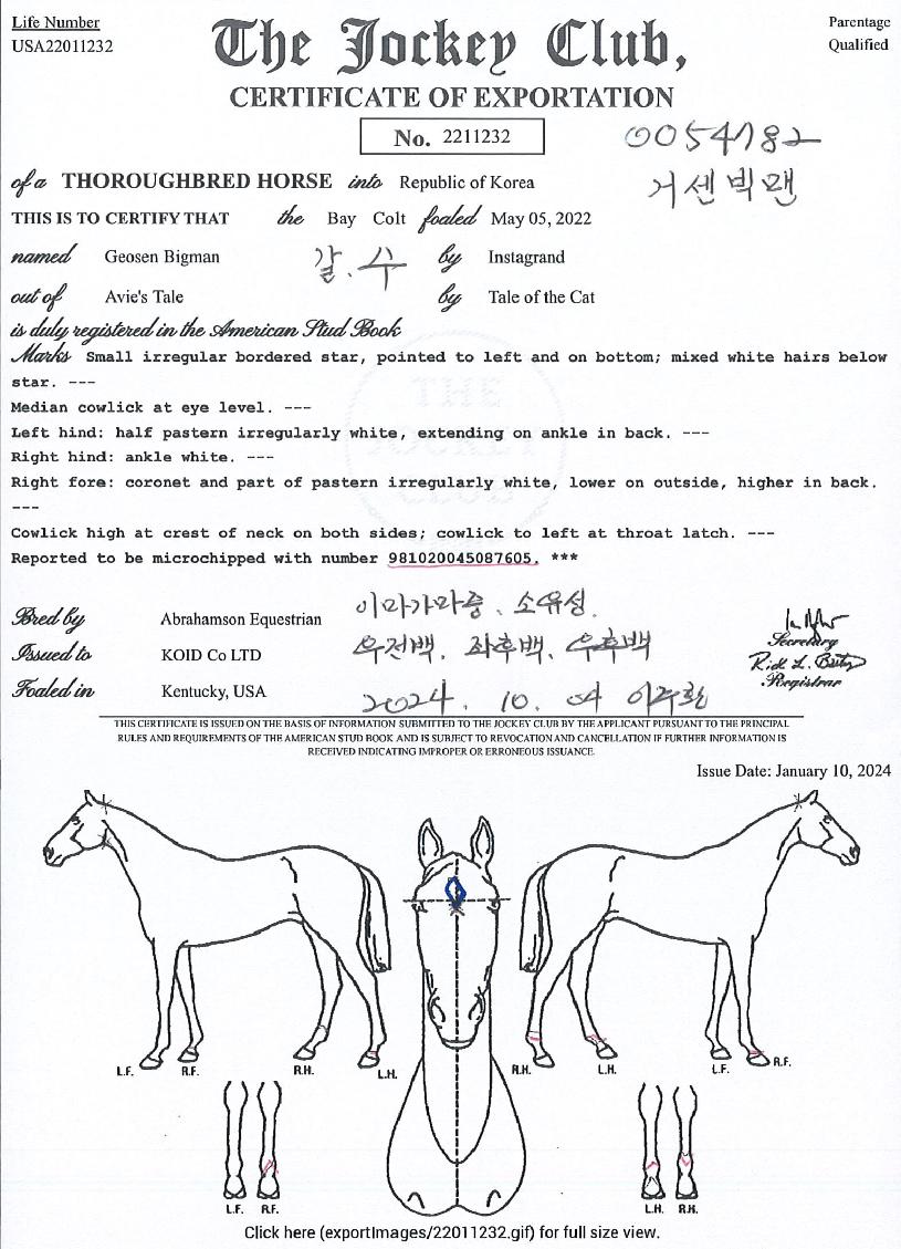 �ż������ ����,���,�޸�,�λ�,�ٸ��� Ư¡����