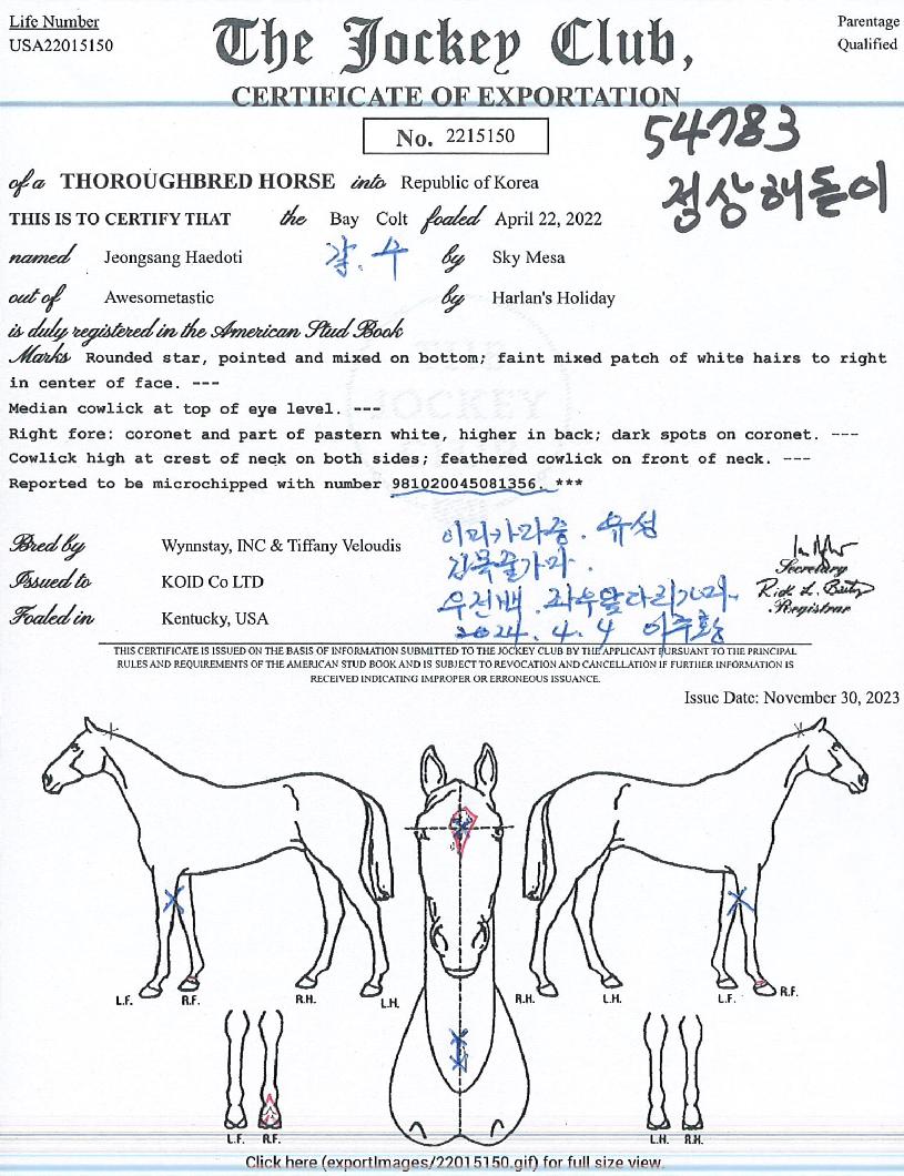 Á¤»óÇØµ¸ÀÌÀÇ Ãø¸é,¿ì¸é,µÞ¸é,µÎ»ó,´Ù¸®ÀÇ Æ¯Â¡µµÇØ