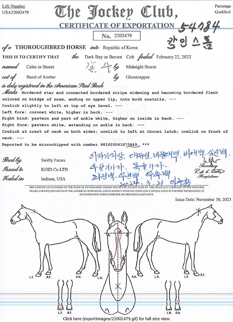 įÀνºÅèÀÇ Ãø¸é,¿ì¸é,µÞ¸é,µÎ»ó,´Ù¸®ÀÇ Æ¯Â¡µµÇØ