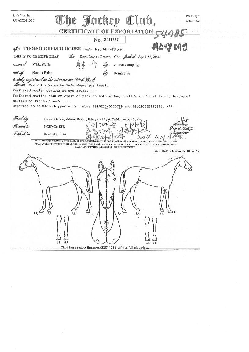 ����ķ������ ����,���,�޸�,�λ�,�ٸ��� Ư¡����