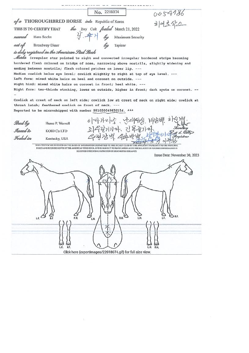 È÷¾î·Î»è½ºÀÇ Ãø¸é,¿ì¸é,µÞ¸é,µÎ»ó,´Ù¸®ÀÇ Æ¯Â¡µµÇØ