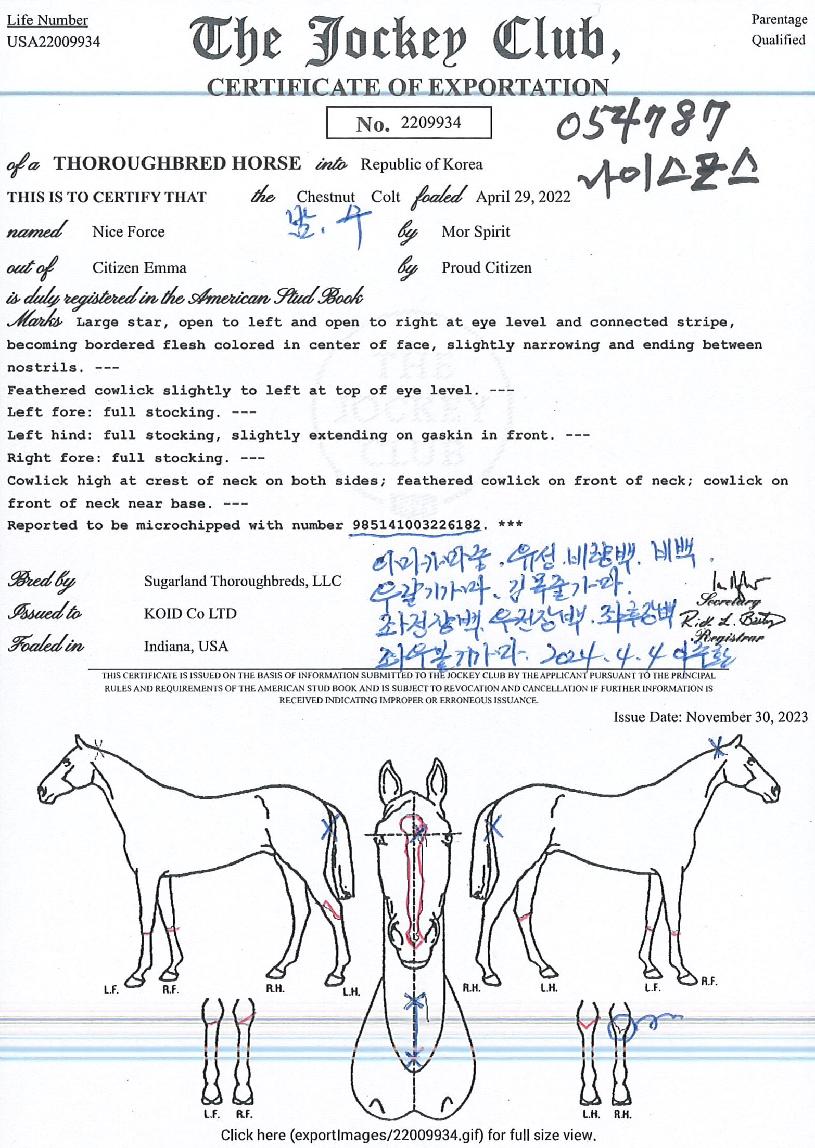 ³ªÀ̽ºÆ÷½ºÀÇ Ãø¸é,¿ì¸é,µÞ¸é,µÎ»ó,´Ù¸®ÀÇ Æ¯Â¡µµÇØ