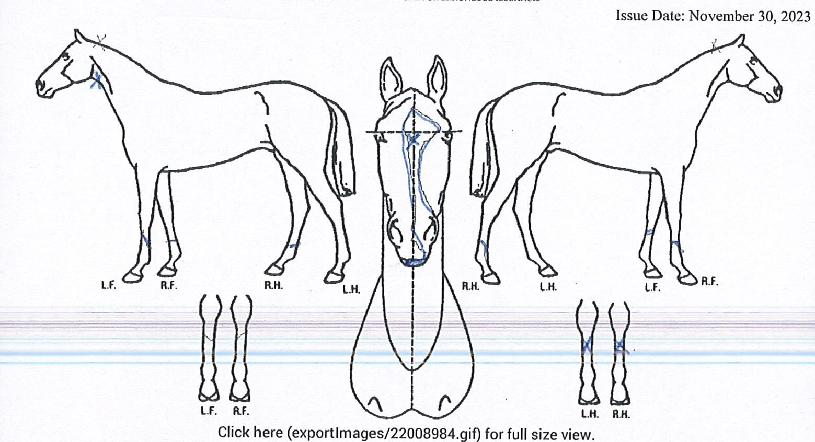 ÅÂdzó·³ÀÇ Ãø¸é,¿ì¸é,µÞ¸é,µÎ»ó,´Ù¸®ÀÇ Æ¯Â¡µµÇØ