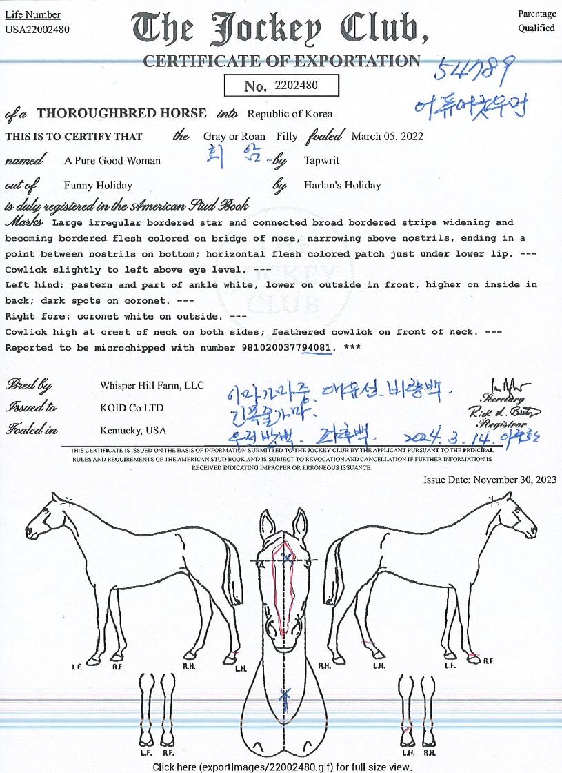 ��ǻ��¿���� ����,���,�޸�,�λ�,�ٸ��� Ư¡����