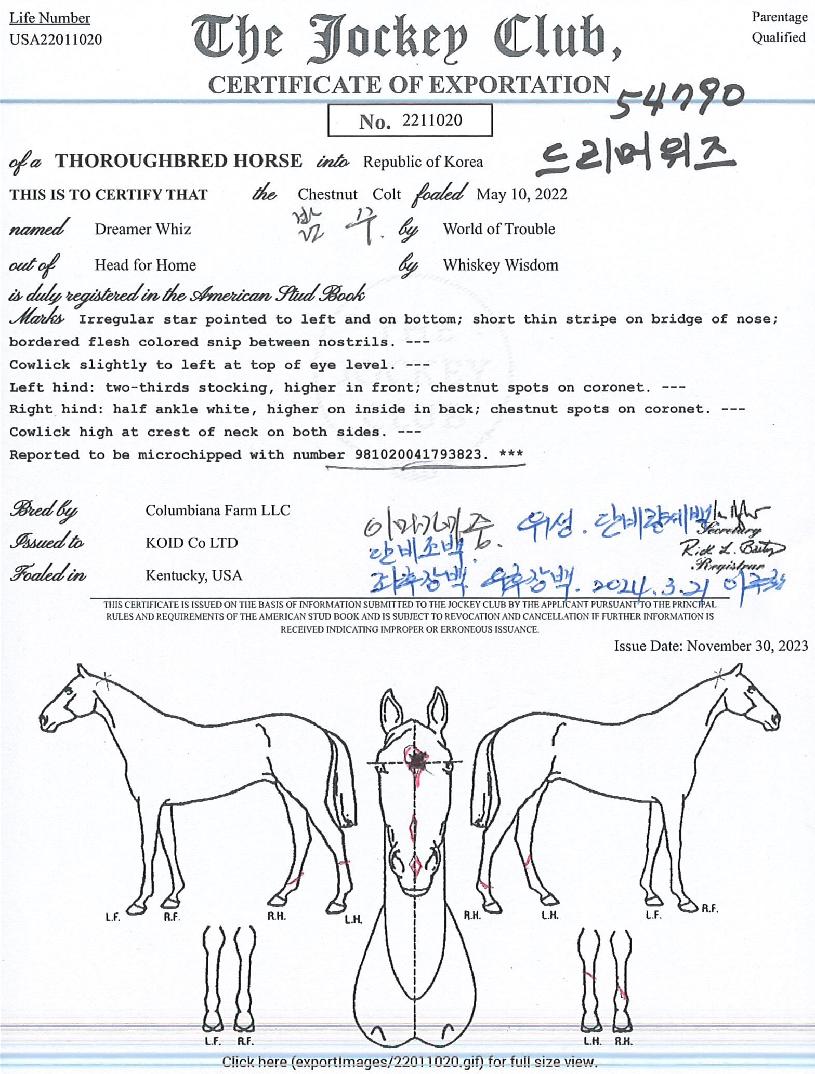 �帮�������� ����,���,�޸�,�λ�,�ٸ��� Ư¡����