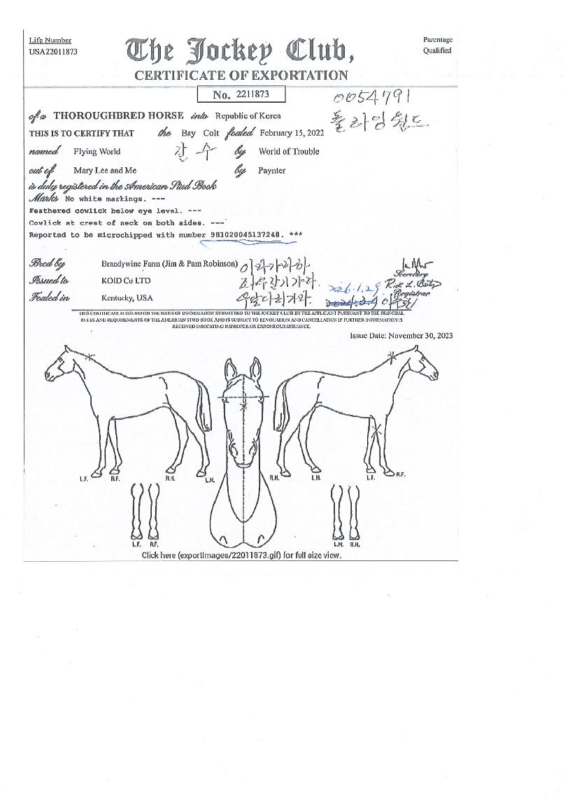 �ö��׿����� ����,���,�޸�,�λ�,�ٸ��� Ư¡����