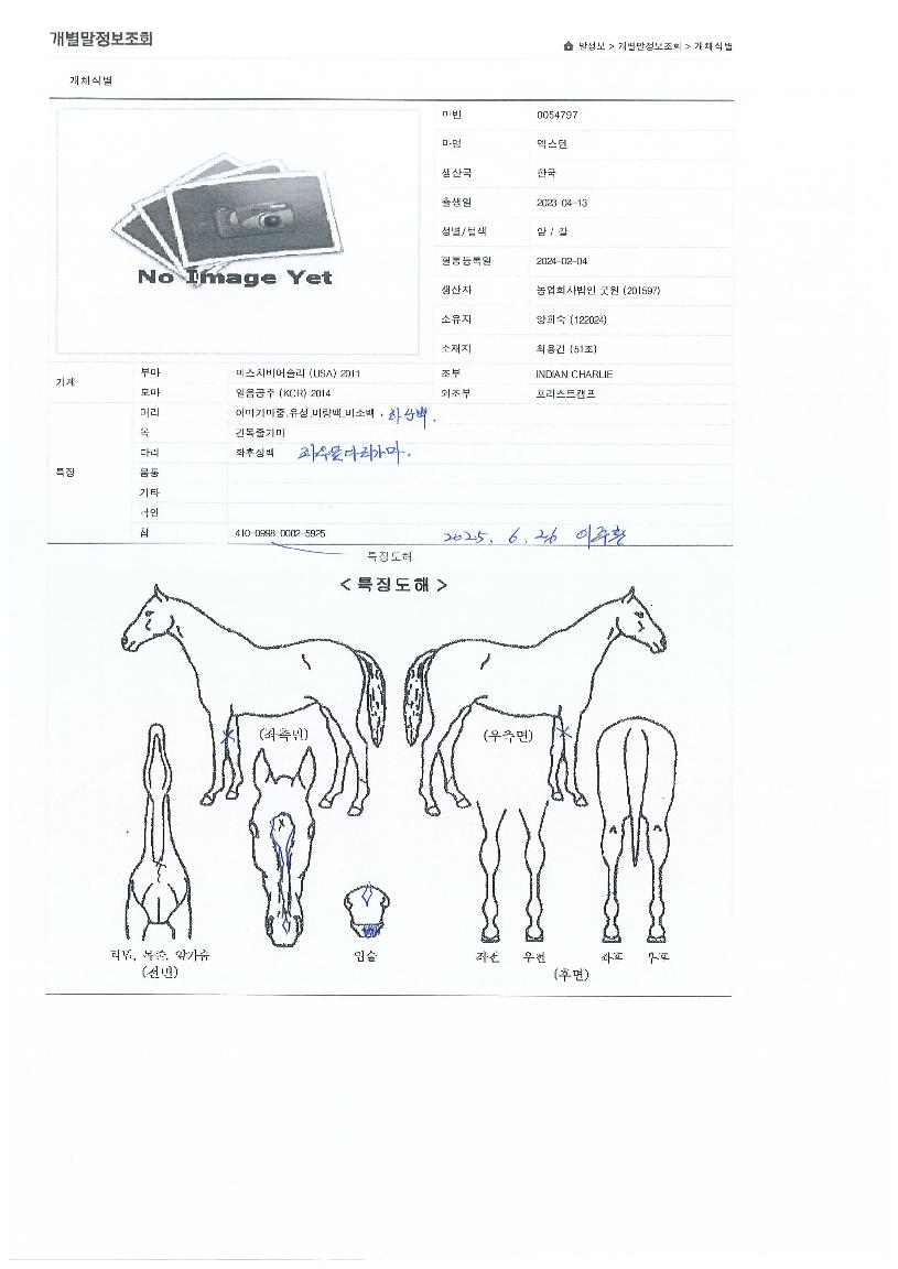 ¿¢½ºÅÙÀÇ Ãø¸é,¿ì¸é,µÞ¸é,µÎ»ó,´Ù¸®ÀÇ Æ¯Â¡µµÇØ