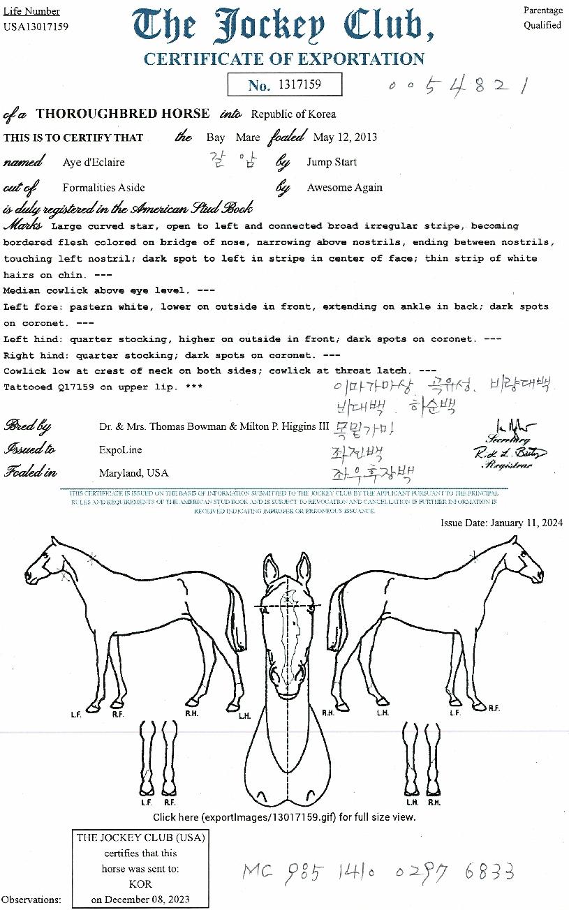 ¾ÆÀ̵¥¿¡Å¬·¹¾îÀÇ Ãø¸é,¿ì¸é,µÞ¸é,µÎ»ó,´Ù¸®ÀÇ Æ¯Â¡µµÇØ