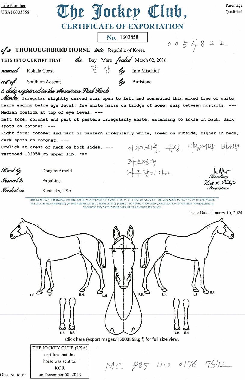 ���Ҷ��ڽ�Ʈ�� ����,���,�޸�,�λ�,�ٸ��� Ư¡����