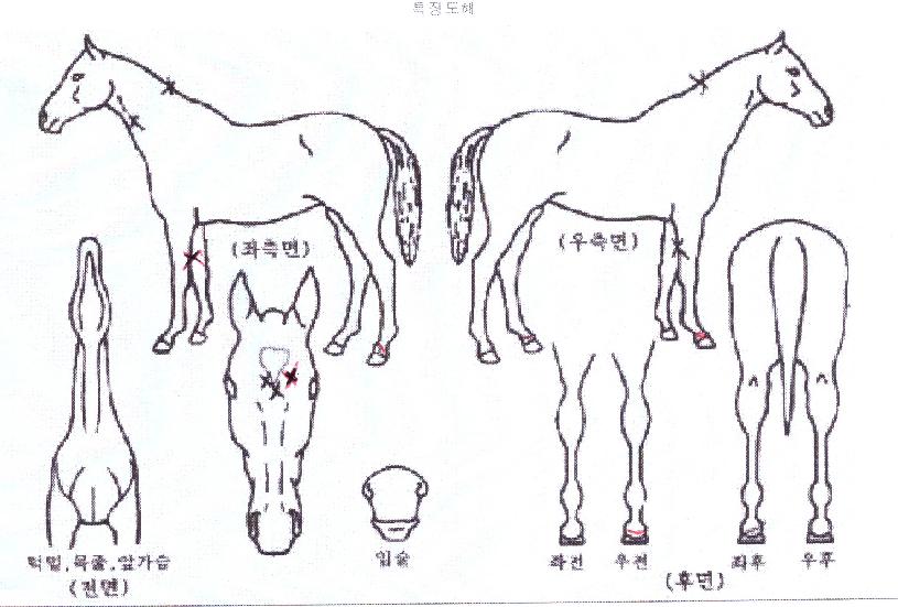 Ű���������� ����,���,�޸�,�λ�,�ٸ��� Ư¡����