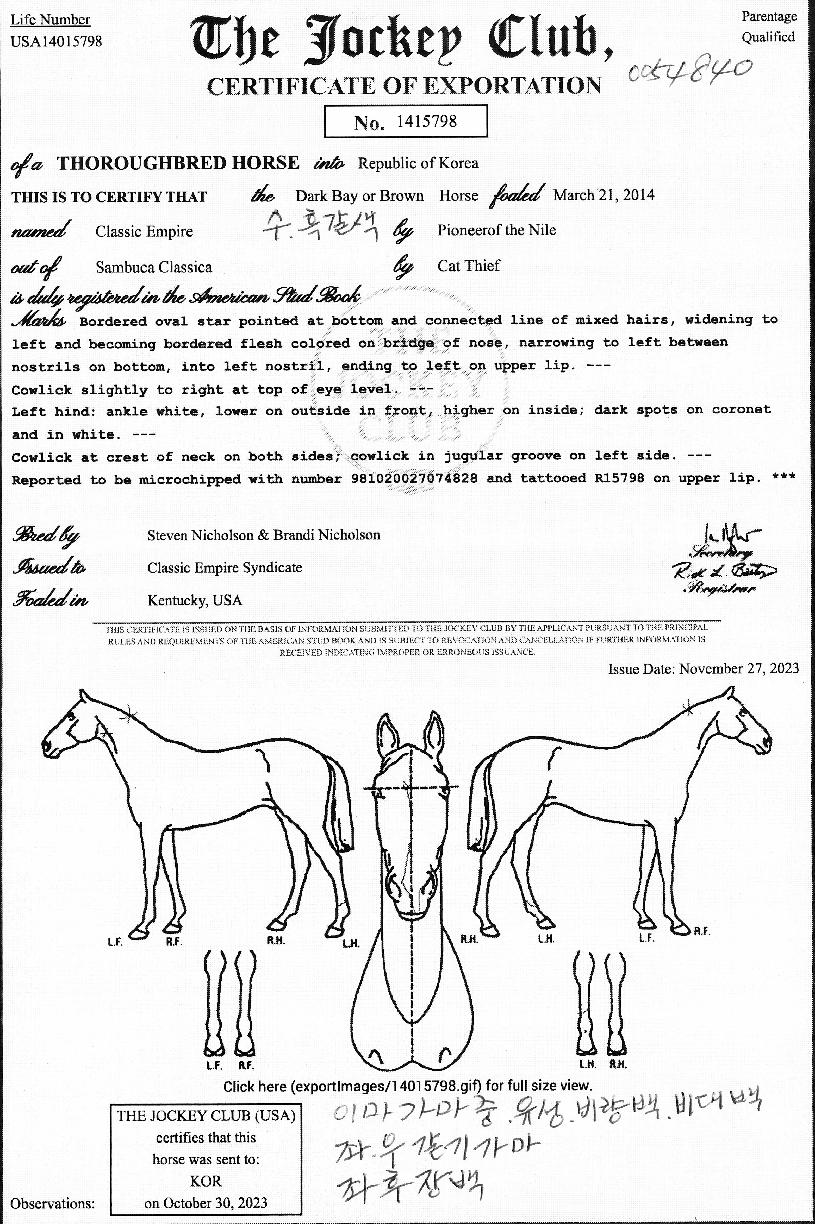 Ŭ·¡½Ä¿¥ÆÄÀ̾îÀÇ Ãø¸é,¿ì¸é,µÞ¸é,µÎ»ó,´Ù¸®ÀÇ Æ¯Â¡µµÇØ