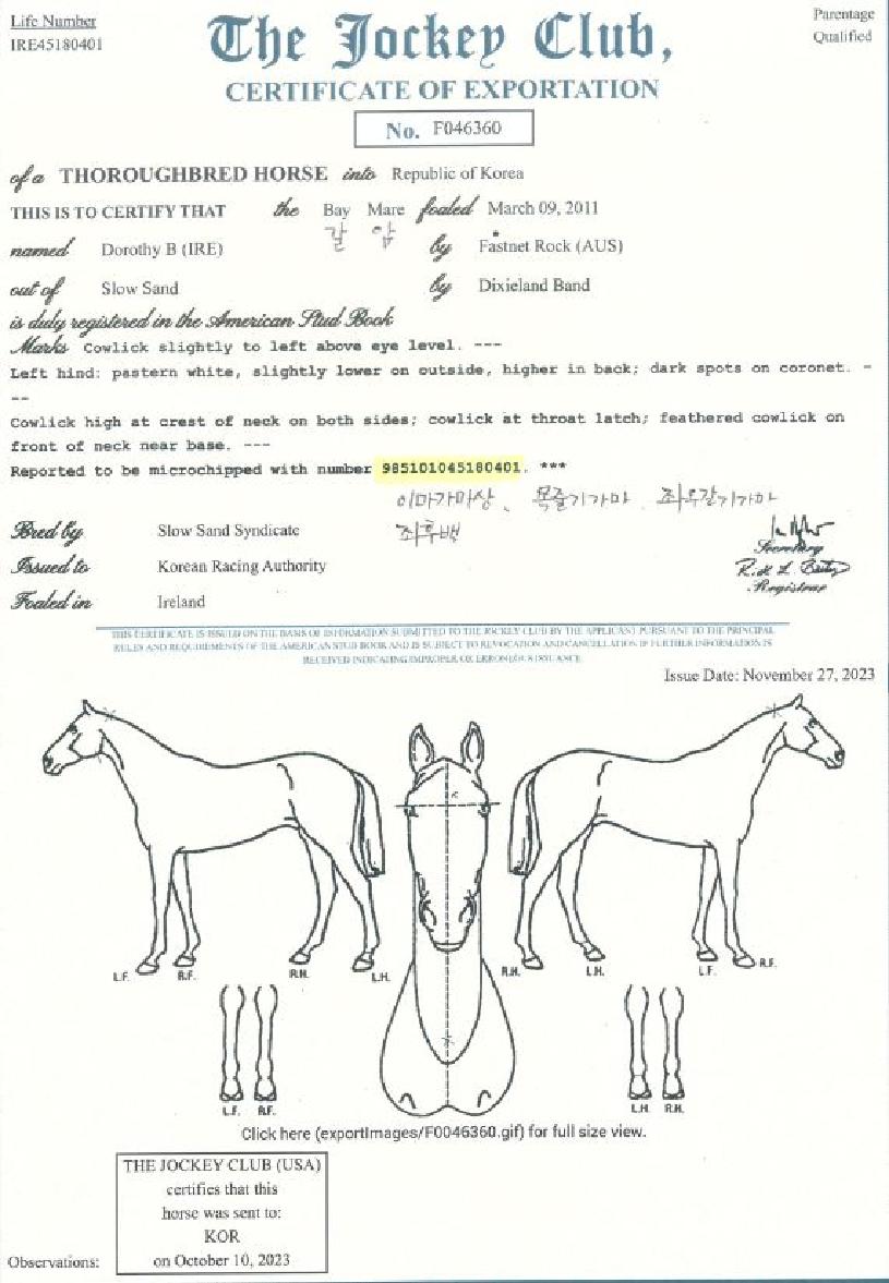 ���νú��� ����,���,�޸�,�λ�,�ٸ��� Ư¡����