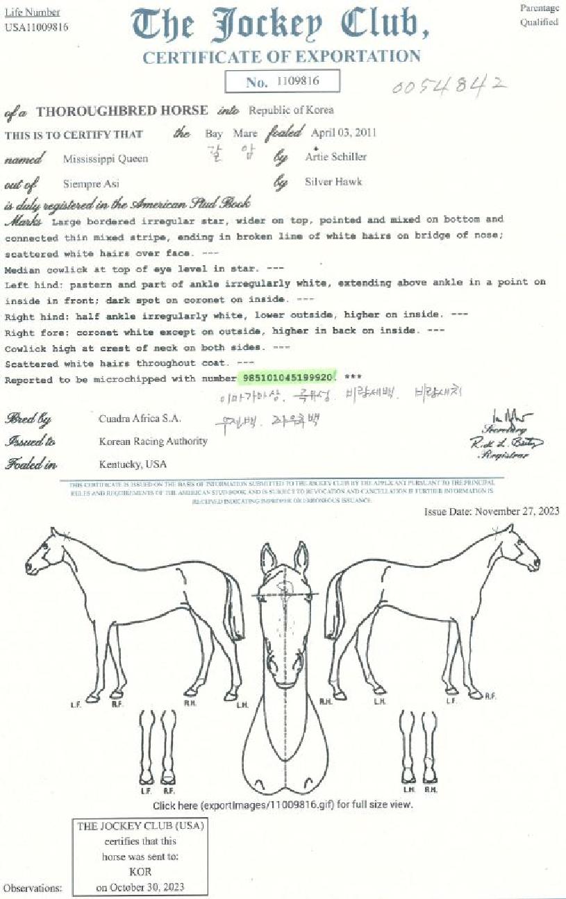 �̽ý������� ����,���,�޸�,�λ�,�ٸ��� Ư¡����