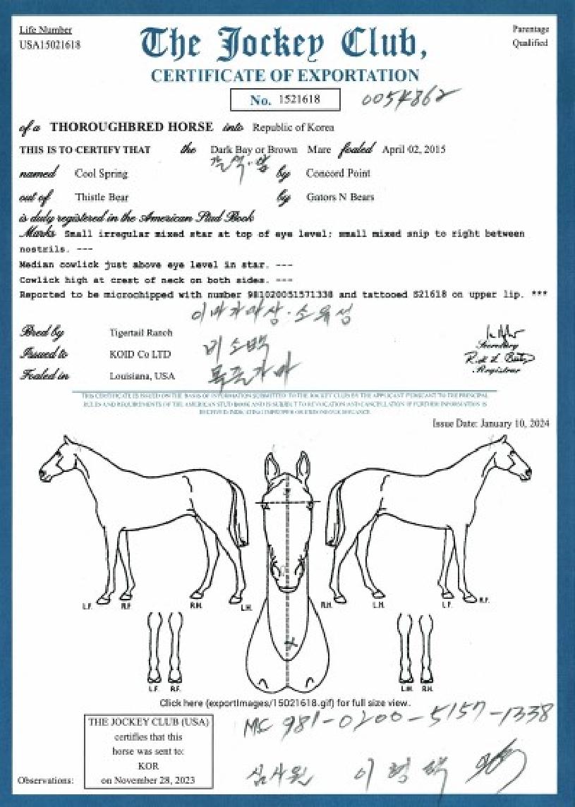 �������� ����,���,�޸�,�λ�,�ٸ��� Ư¡����