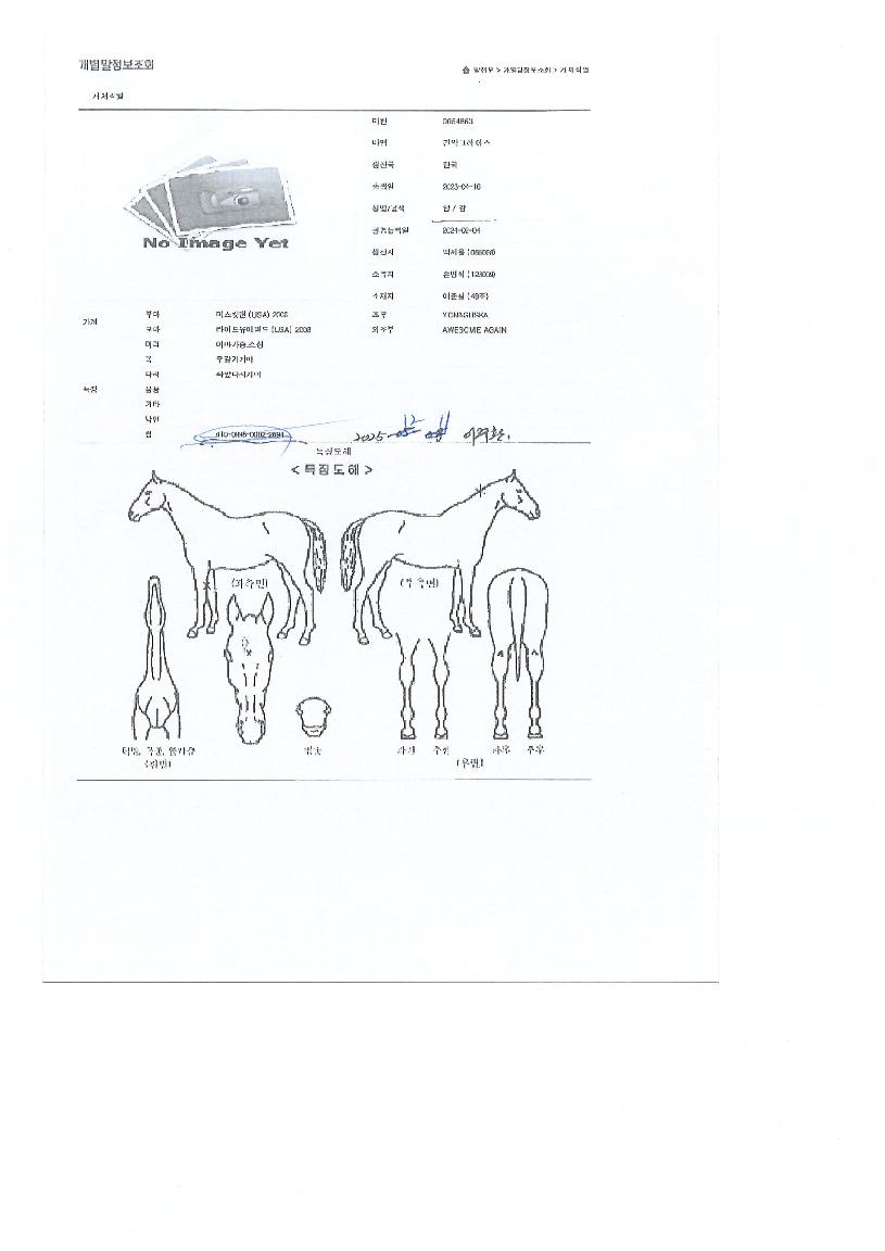 °ü¾Ç±×·¹À̽ºÀÇ Ãø¸é,¿ì¸é,µÞ¸é,µÎ»ó,´Ù¸®ÀÇ Æ¯Â¡µµÇØ