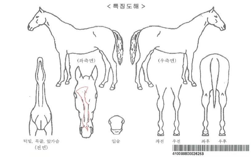 ����Ʈ���� ����,���,�޸�,�λ�,�ٸ��� Ư¡����