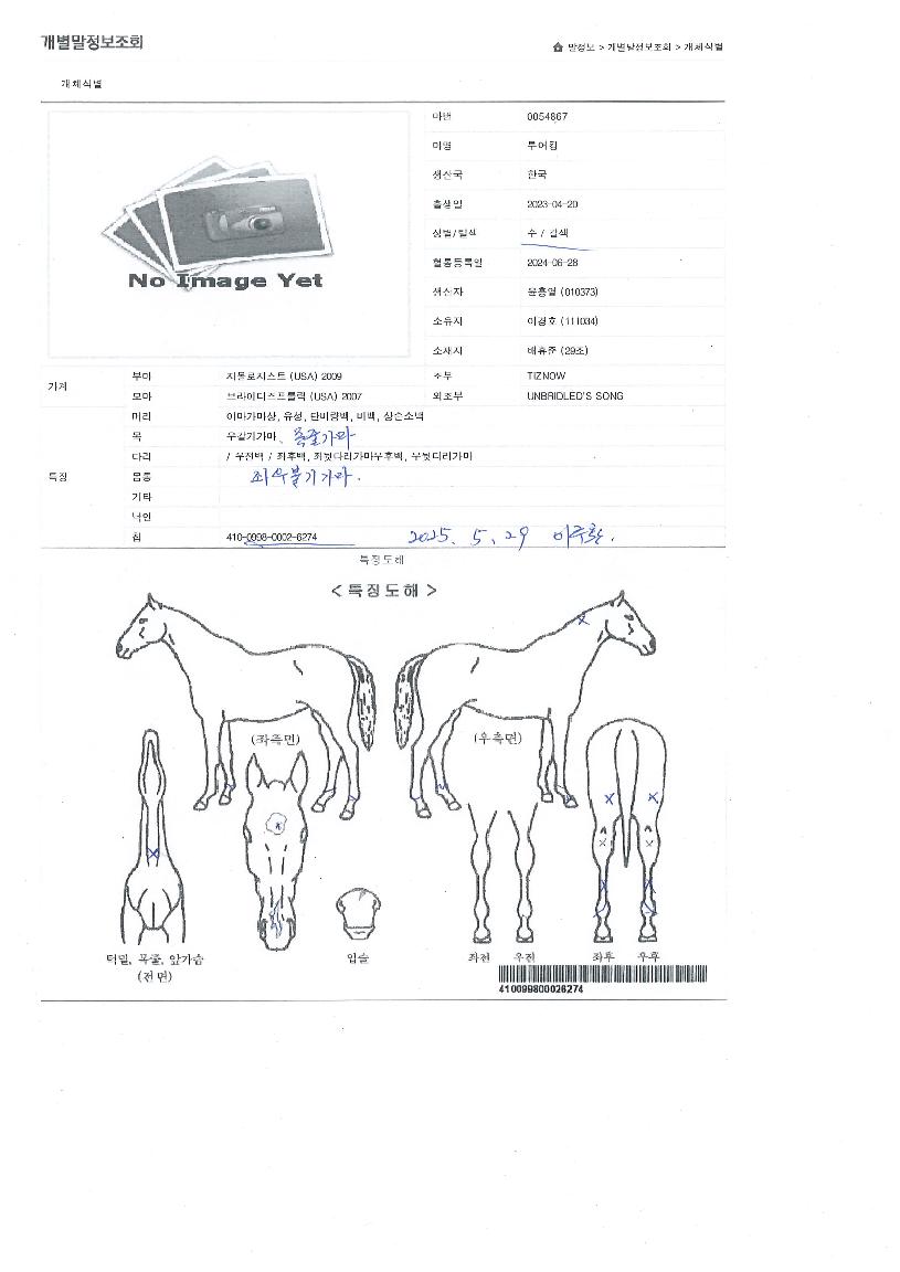 Åõ¾îÅ·ÀÇ Ãø¸é,¿ì¸é,µÞ¸é,µÎ»ó,´Ù¸®ÀÇ Æ¯Â¡µµÇØ